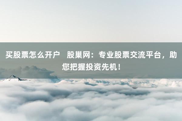 买股票怎么开户   股巢网：专业股票交流平台，助您把握投资先机！