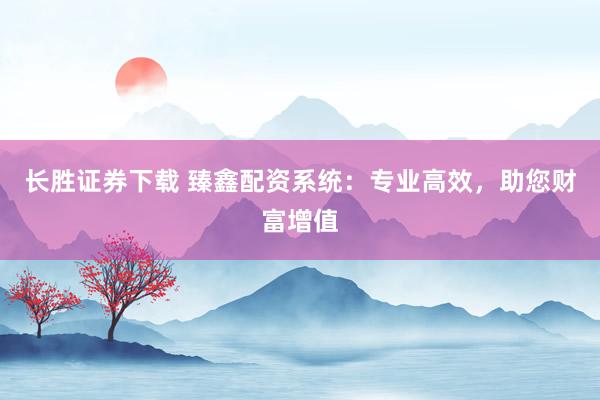 长胜证券下载 臻鑫配资系统:专业高效,助您财富增值