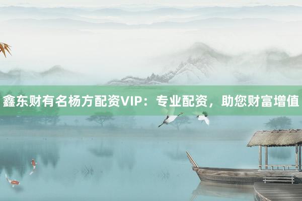 鑫东财有名杨方配资VIP:专业配资,助您财富增值