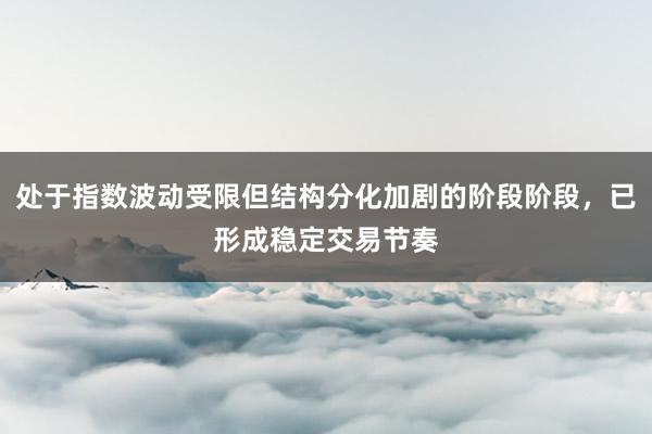 处于指数波动受限但结构分化加剧的阶段阶段，已形成稳定交易节奏