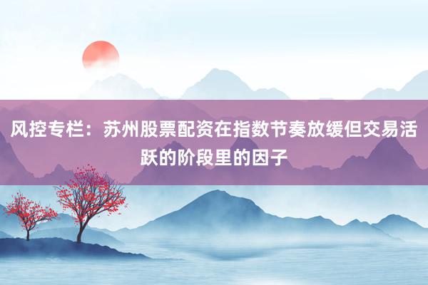 风控专栏：苏州股票配资在指数节奏放缓但交易活跃的阶段里的因子