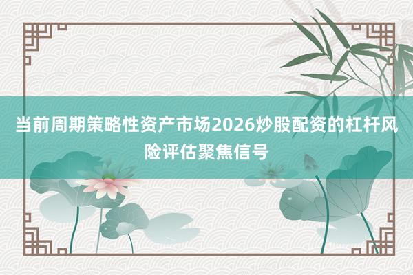当前周期策略性资产市场2026炒股配资的杠杆风险评估聚焦信号