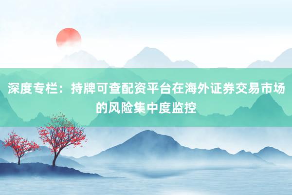 深度专栏:持牌可查配资平台在海外证券交易市场的风险集中度监控