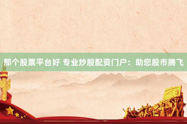 那个股票平台好 专业炒股配资门户：助您股市腾飞