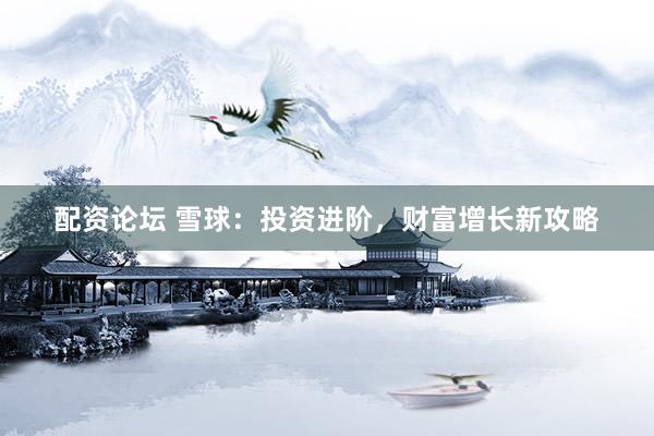 配资论坛 雪球：投资进阶，财富增长新攻略