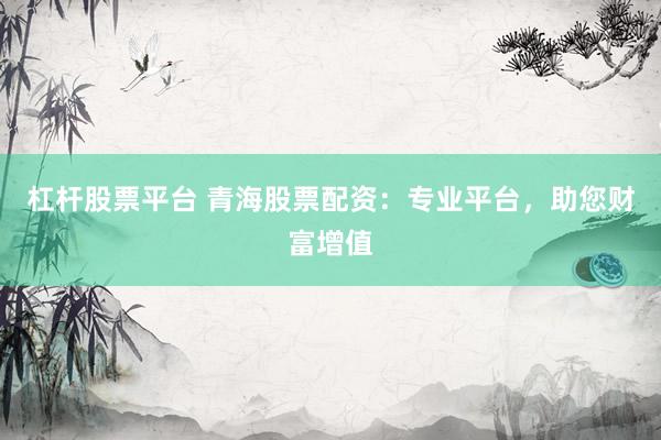 杠杆股票平台 青海股票配资：专业平台，助您财富增值